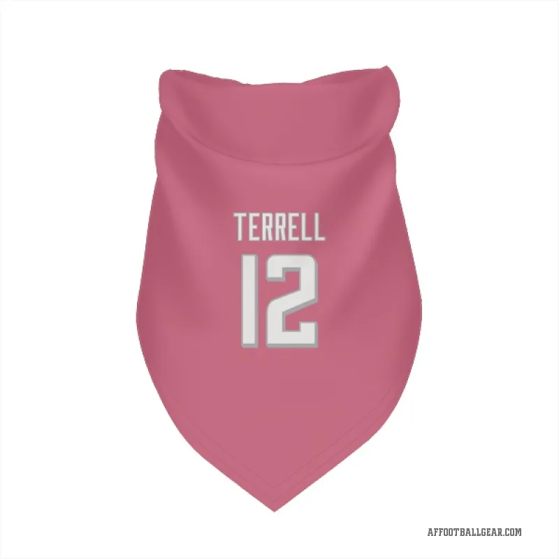 Avieon Terrell  Pink Atlanta Falcons  Cat & Dog Pet Bandana