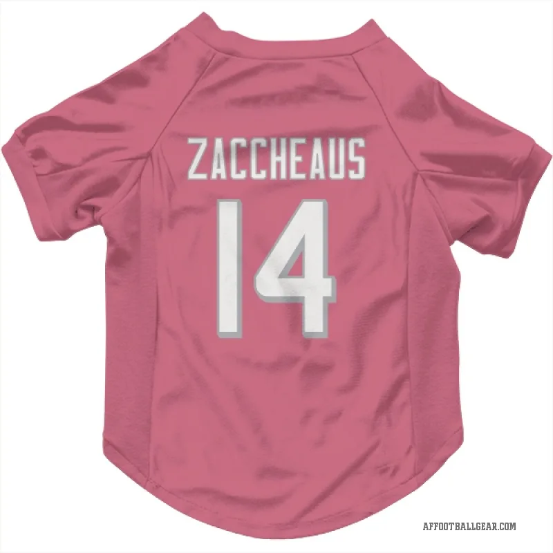 Olamide Zaccheaus  Pink Atlanta Falcons  Cat & Dog Pet Jersey