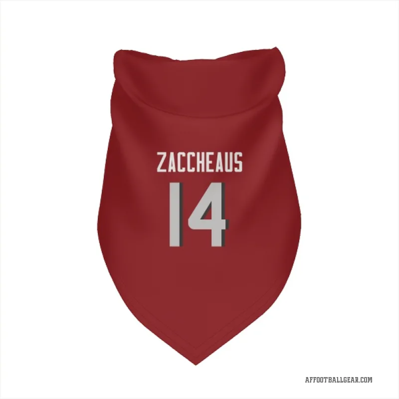 Olamide Zaccheaus  Red Atlanta Falcons  Cat & Dog Pet Bandana