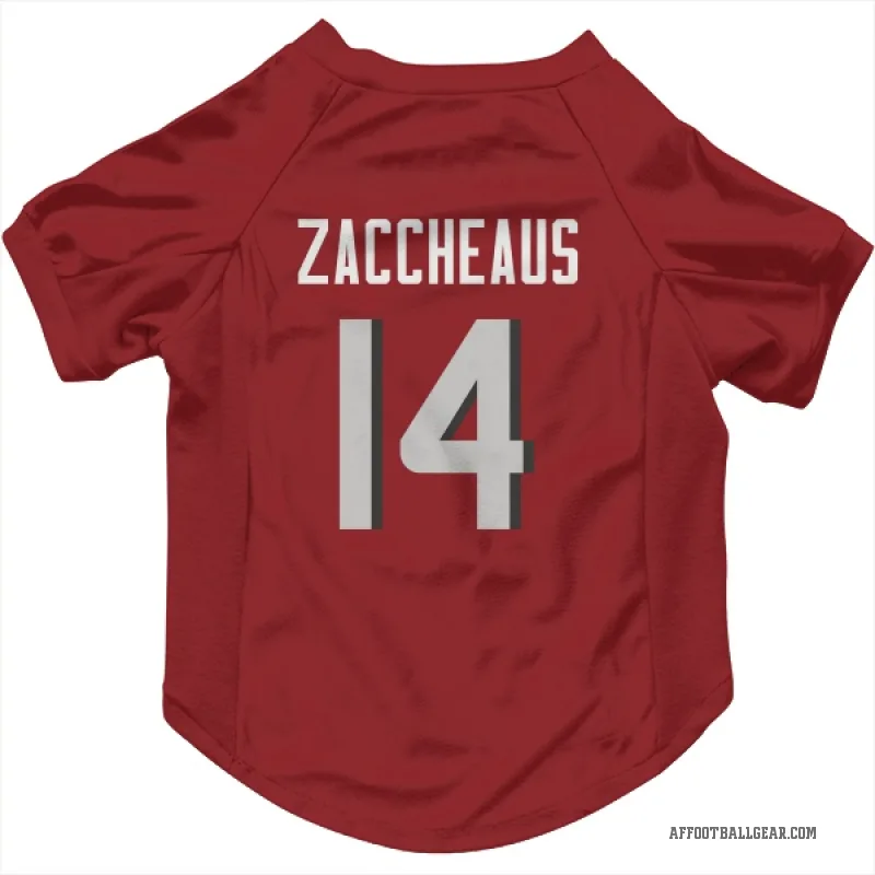 Olamide Zaccheaus  Red Atlanta Falcons  Cat & Dog Pet Jersey