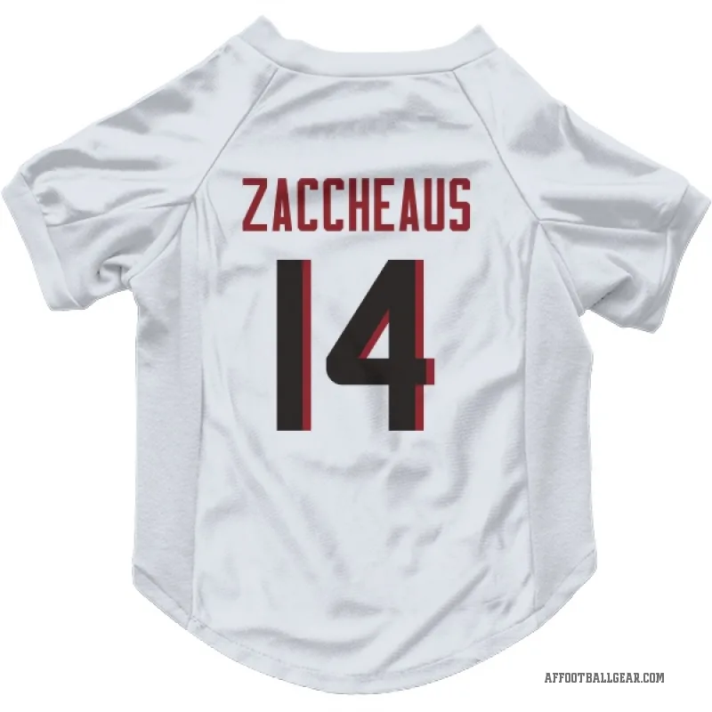 Olamide Zaccheaus  White Atlanta Falcons  Cat & Dog Pet Jersey