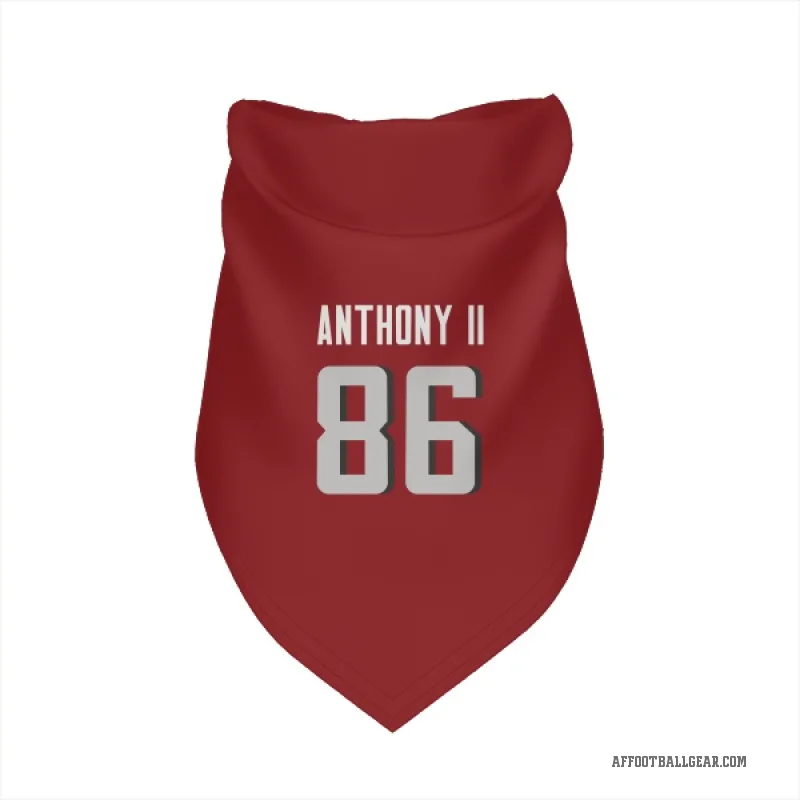 Vinny Anthony II  Red Atlanta Falcons  Cat & Dog Pet Bandana